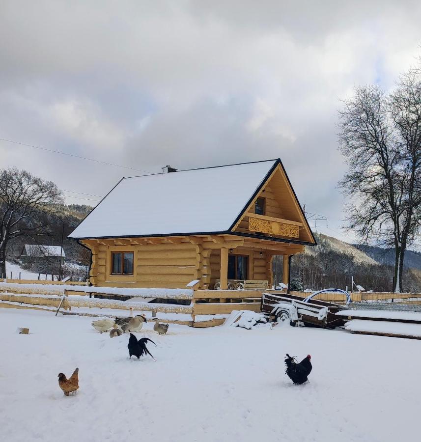 Sudecki Dym Z Kominkiem Kolo Karpacza. Agroturystyka Janowice Wielkie Exterior photo