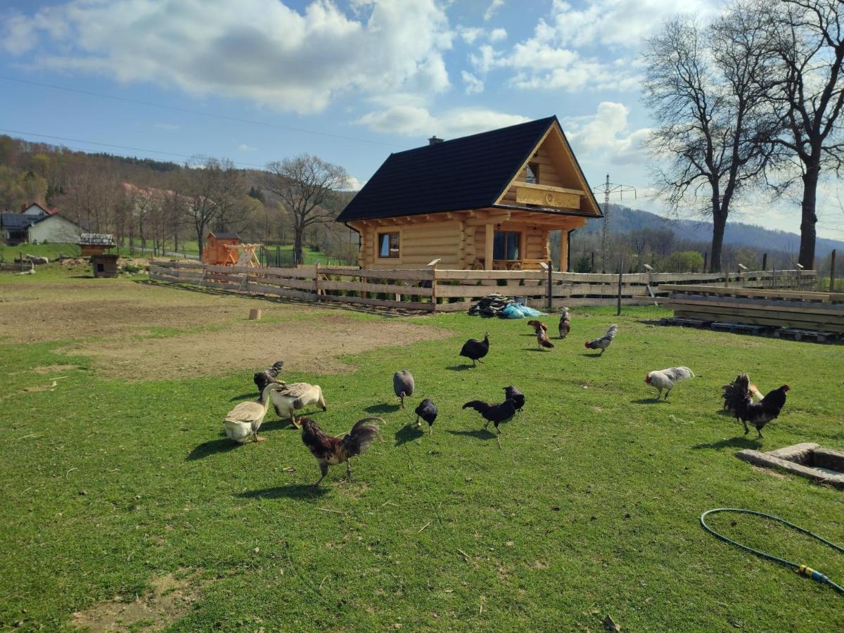 Sudecki Dym Z Kominkiem Kolo Karpacza. Agroturystyka Janowice Wielkie Exterior photo